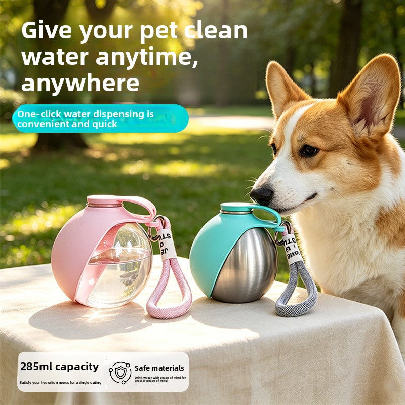 Portable Pet Water Bottle and Bowl